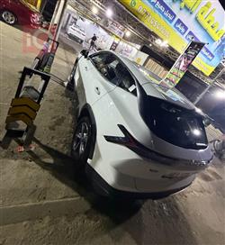 جيتور داشينج